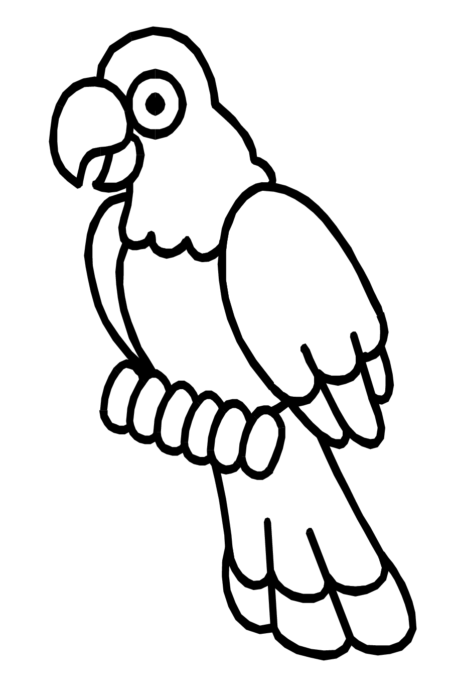 All About Parrots Parrot colouring picture1